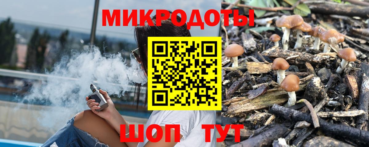 Псилоцибиновые грибы Cubensis Азов